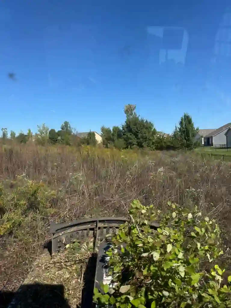 Overgrown vacant lot before brush hogging Kansas City MO