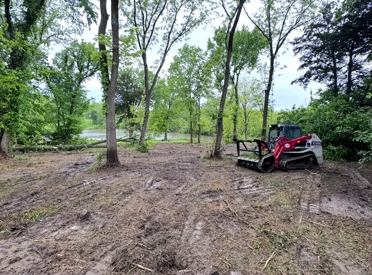 Oak Grove, MO property after forestry mulching with brush cleared and mature trees preserved