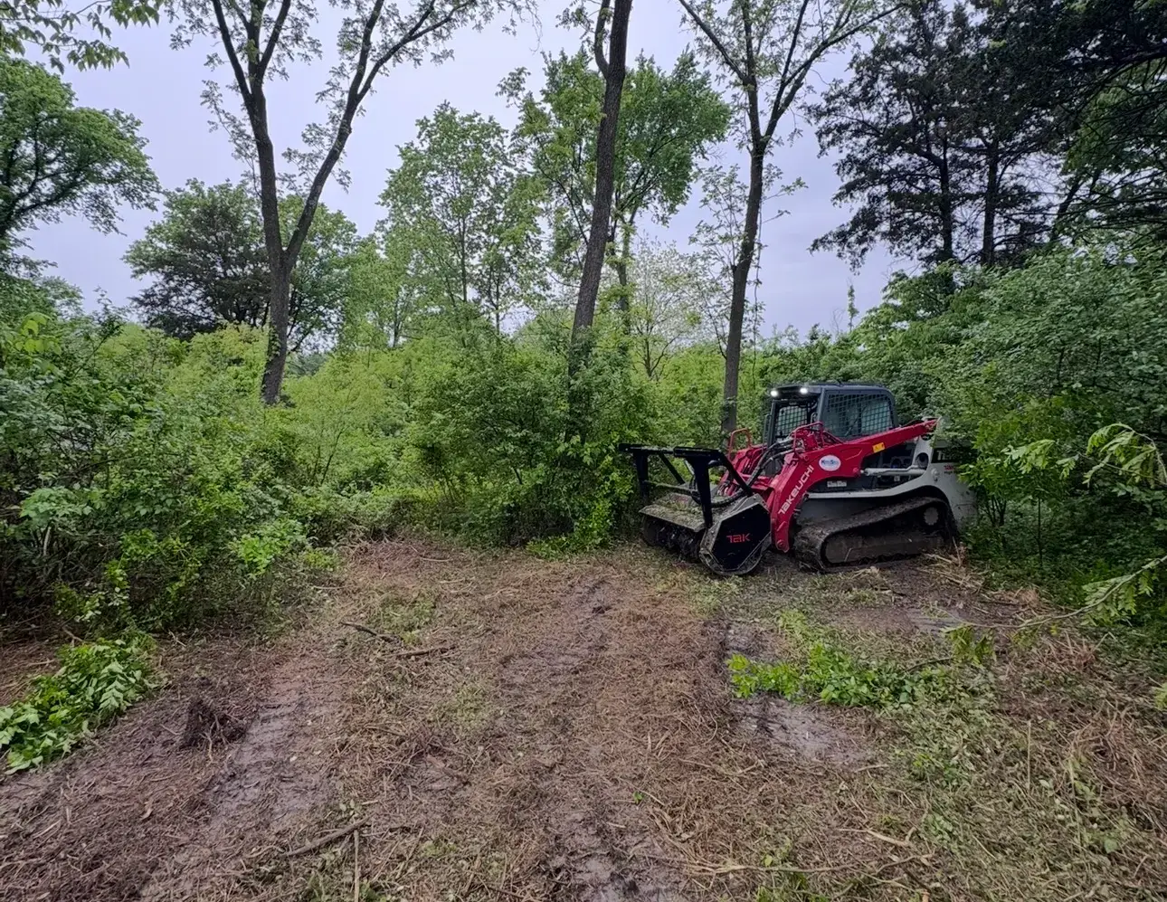 Takeuchi TL12-R2 with forestry mulcher facing overgrown brush before clearing in Oak Grove, MO