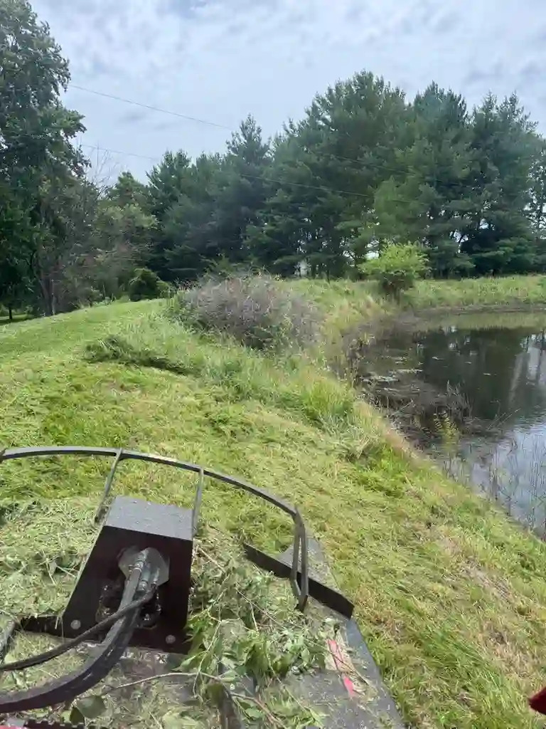 Skid steer brush hog cutting brush and saplings off a pond dam, mid-job, Solid Ground Land and Excavation