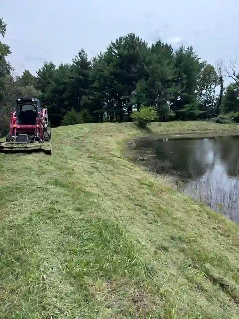 Pond dam mowed clean down to the waterline after brush hogging in Lone Jack, MO